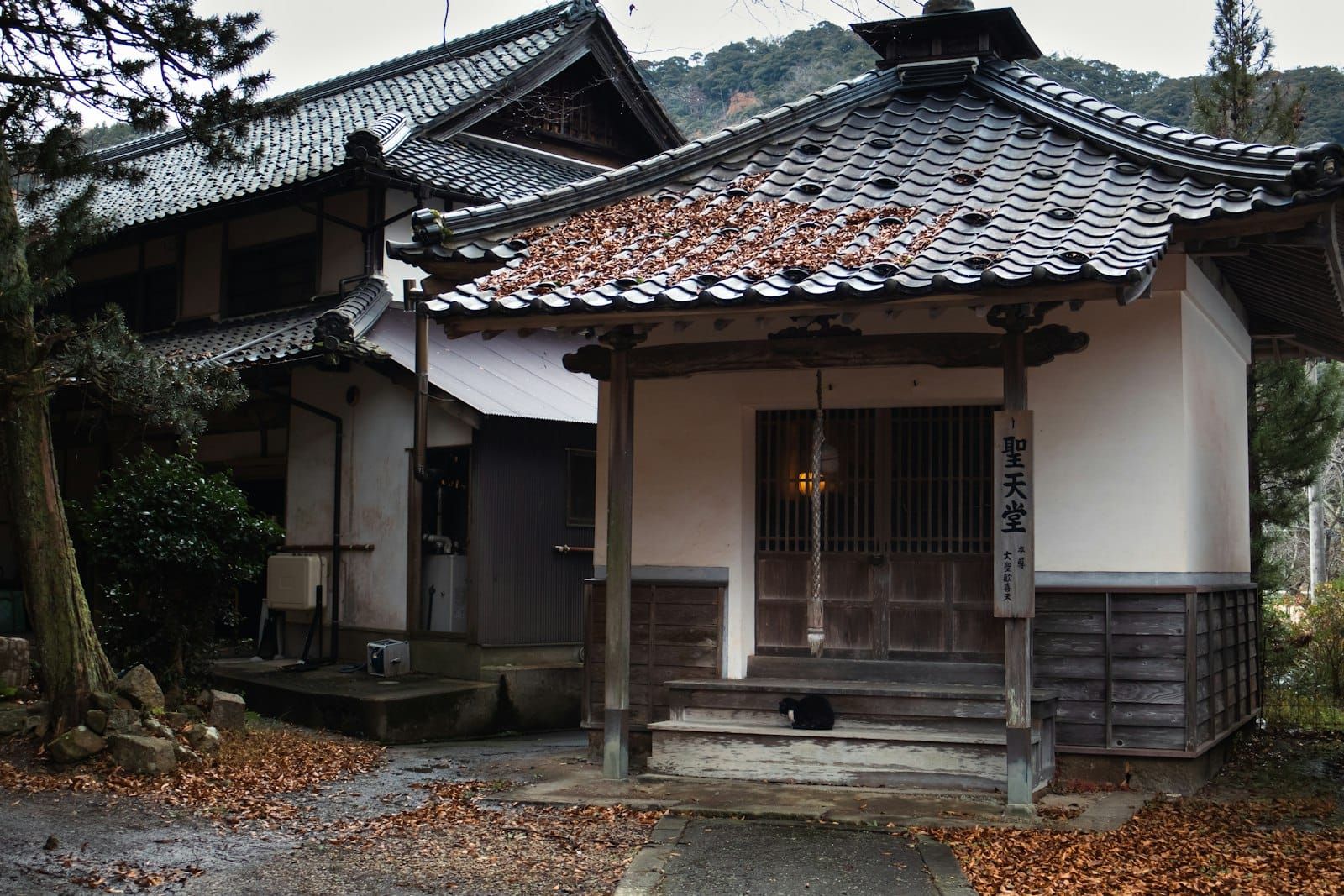 Traditional tiled-roof buildings along a street in Kinosaki Onsen in autumn