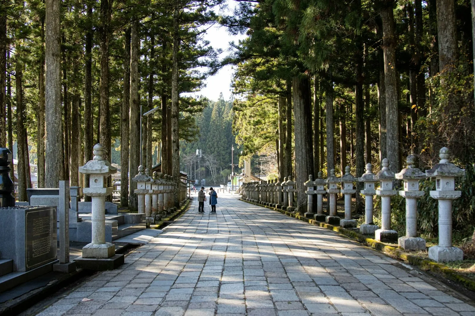 A tree-lined walkway through the Okunoin cemetery on Koyasan