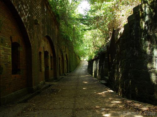 Brick arches of an abandoned Meiji-era gun battery on Tomogashima, reclaimed by forest
